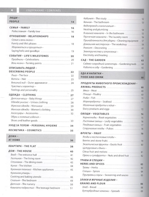 Anglický jazyk. Ilustrovaný slovník + dodatek