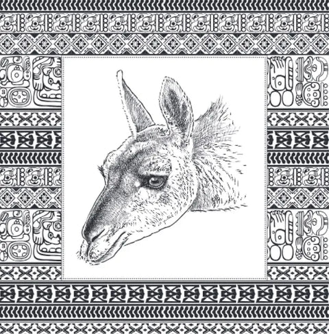 Lamy. Antistresová omalovánka pro kreativitu a inspiraci.
