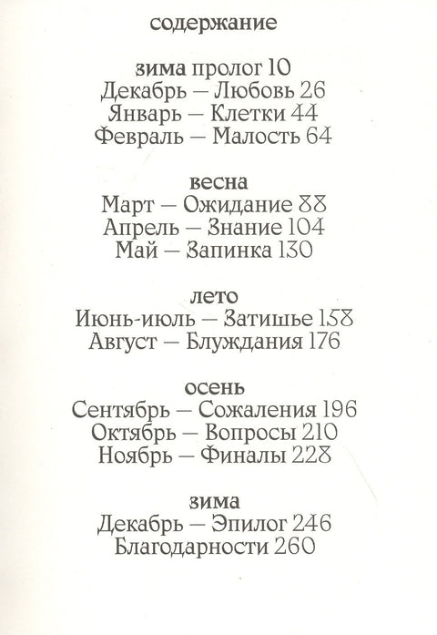 Птицы, искусство, жизнь: год наблюдений
