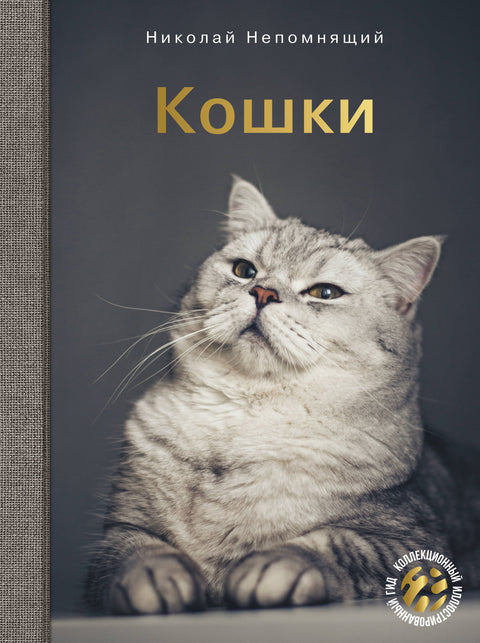 Kočky