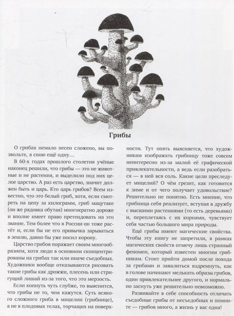 Природоведение (артбук художника)