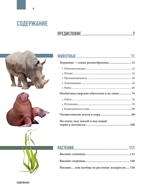 Atlas Země. Zvířata, rostliny, houby, bakterie, minerály a další poklady naší planety