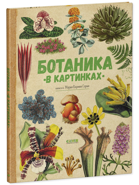 Botanika v obrazech