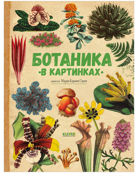 Botanika v obrazech