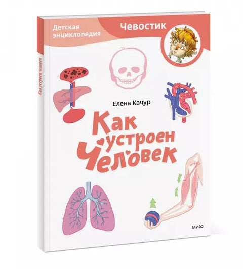 Как устроен человек. Детская энциклопедия (Чевостик) (Paperback)