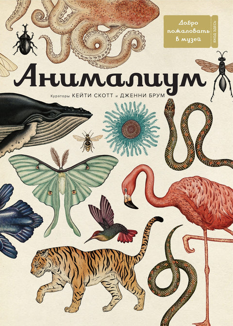 Animalium