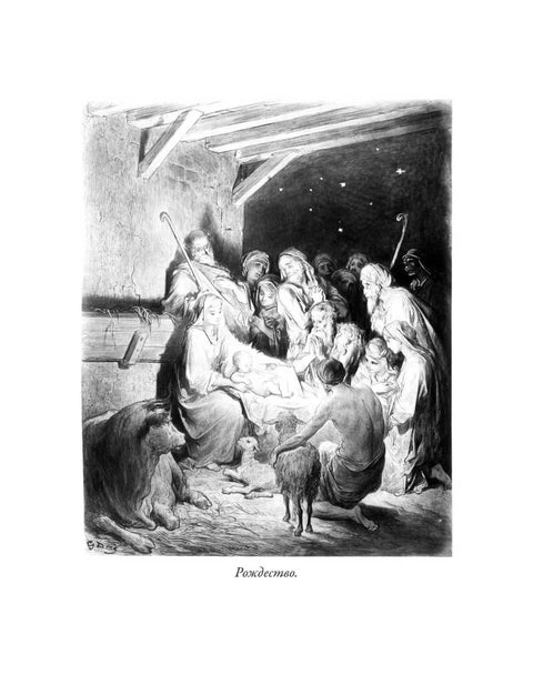 Bible. Nový zákon