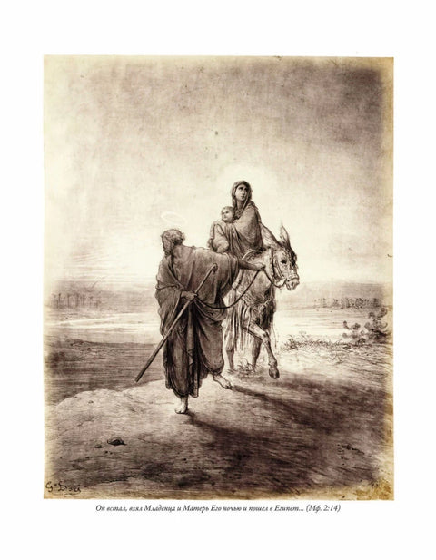 Bible. Nový zákon