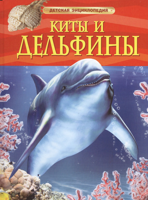 Киты и дельфины