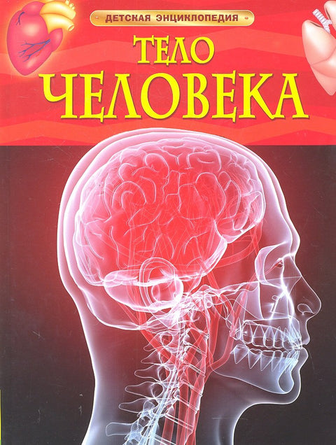 Тело человека