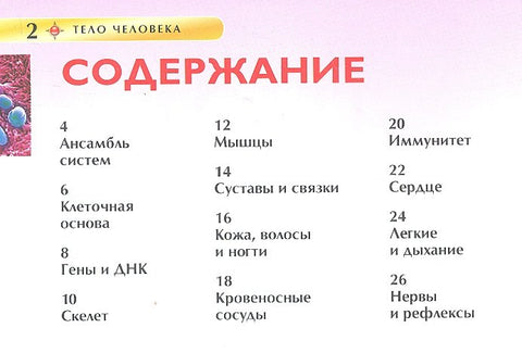 Тело человека