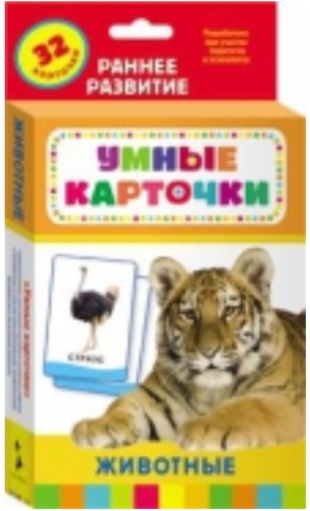 Животные. 32 карточки