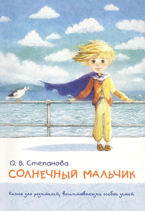 Солнечный мальчик: книга для родителей, воспитывающих особых детей