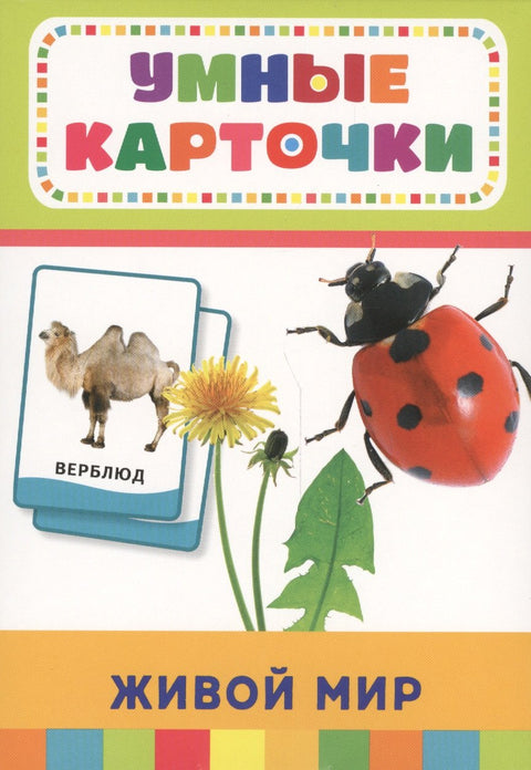 Живой мир (32 карточки в коробке)