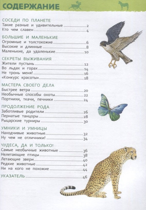 Удивительные животные. Энциклопедия для детского сада
