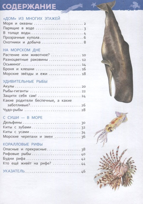 Подводный мир. Энциклопедия для детского сада