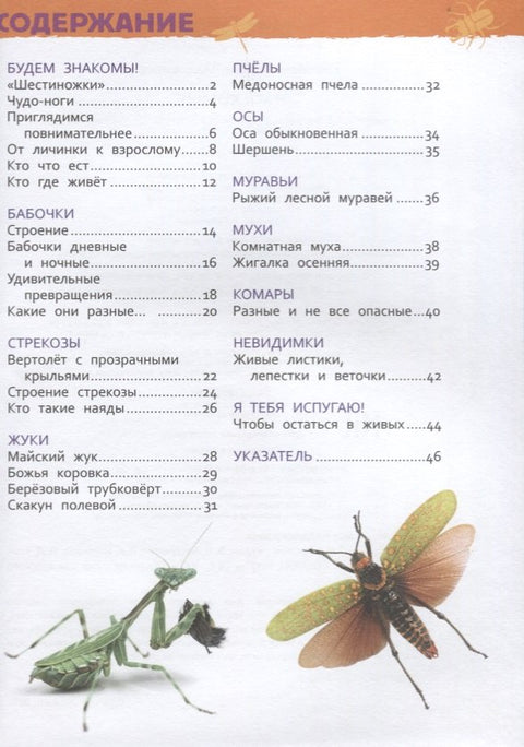 Насекомые. Энциклопедия для детского сада