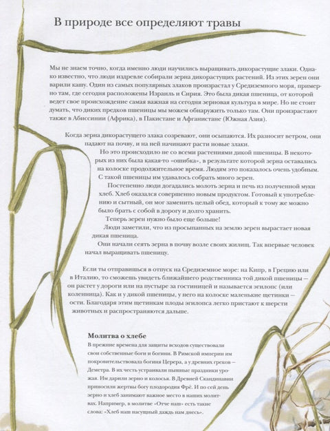 Книга злаков и трав