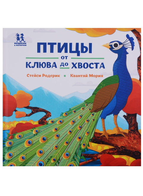 Птицы и букашки: от носа до хвоста
