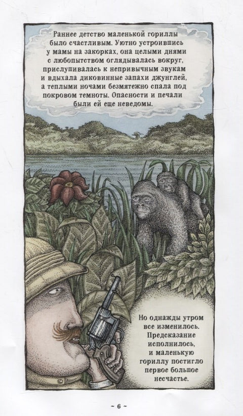 Легенда о Салли Джонс
