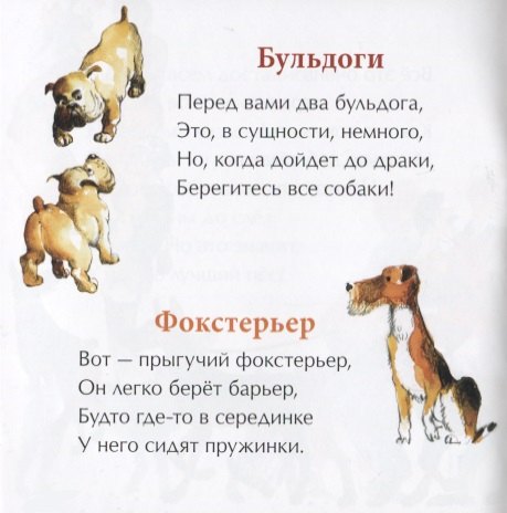 День рождения собаки