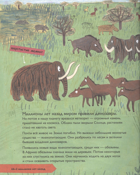 История людей. Моя первая книга о человечестве