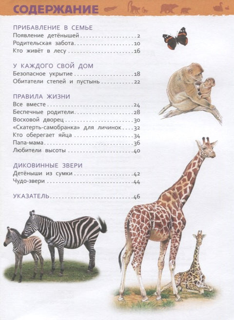 Детеныши животных