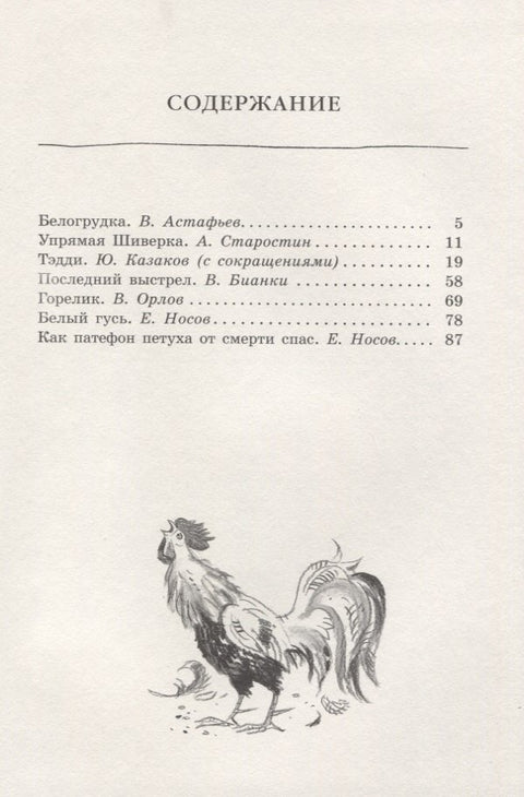 Белогрудка