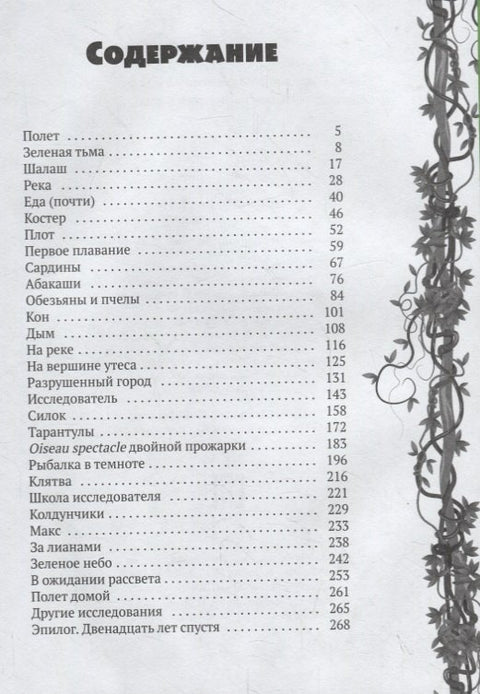 Исследователь: роман