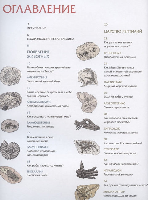 Животные затерянного мира