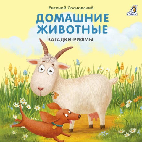 Домашние животные. Загадки-рифмы