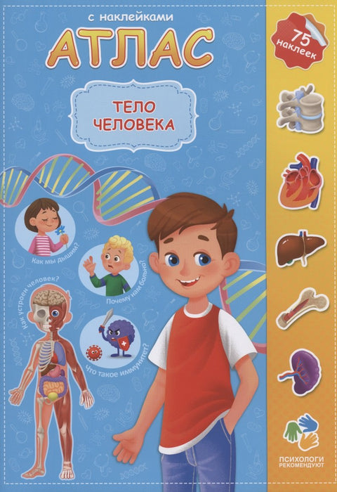 Атлас с наклейками. Тело человека