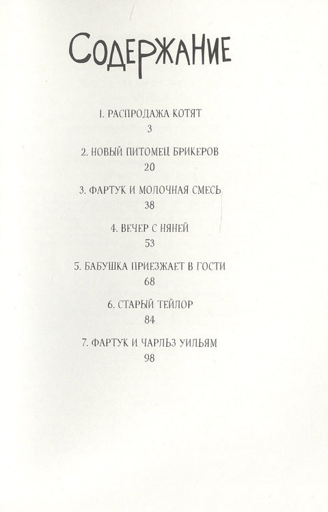 Кот Фартук