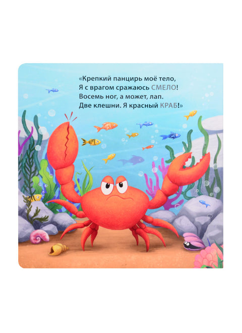 Кто живёт в воде. Загадки-рифмы
