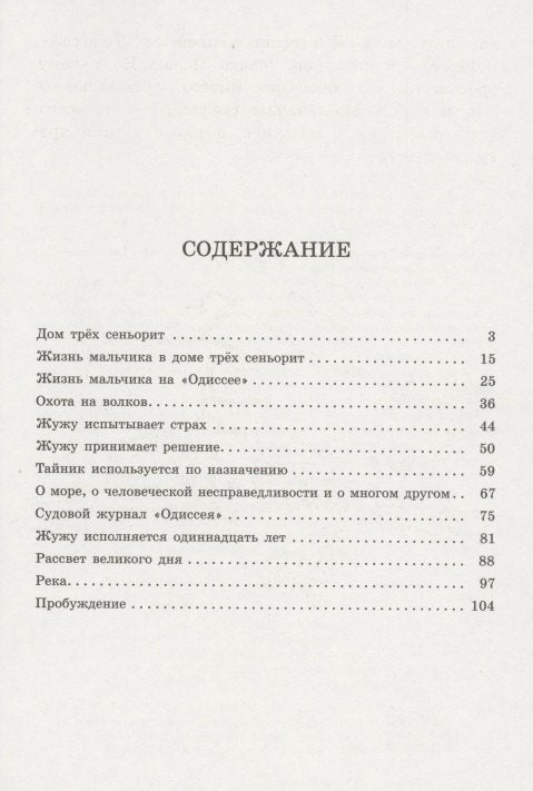 Безбилетный пассажир