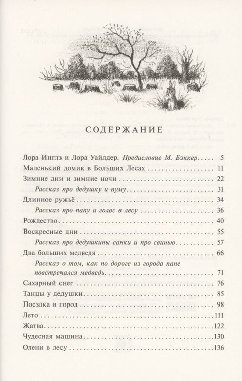 Маленький домик в Больших Лесах Маленький домик