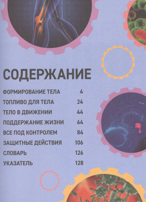 Как устроено твое тело. Энциклопедия