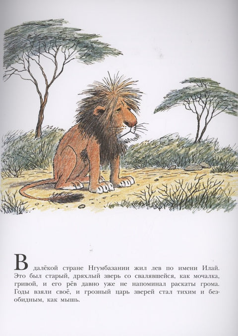 Лев по имени Илай