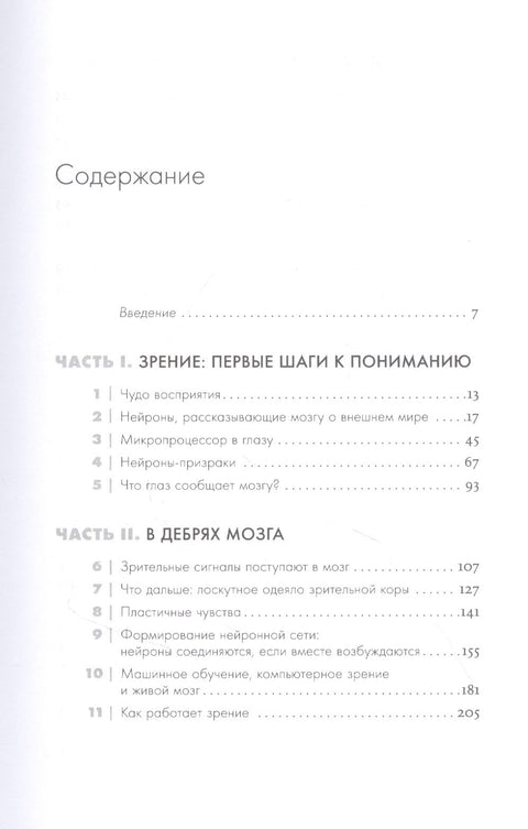 Как мы видим? Нейробиология зрительного восприятия