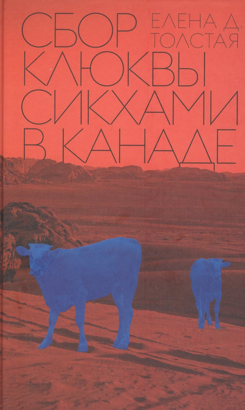 Sikhové sbírají brusinky v Kanadě
