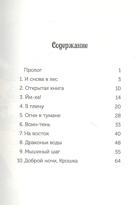 Ниндзя в ночи (Волшебный дом на дереве - 5)