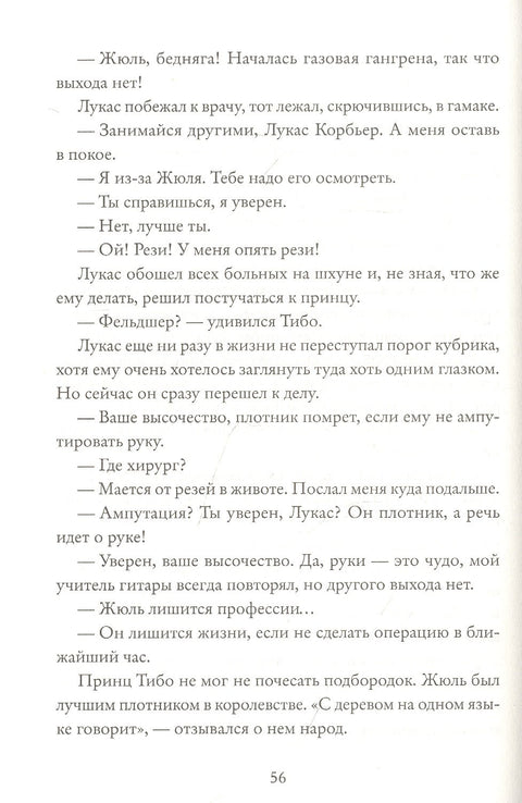 Королевство Краеугольного Камня : Мастер крушений : Книга I