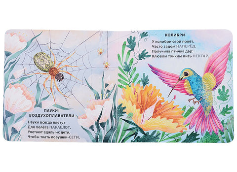 Кто летает. Загадки-рифмы. Книжки-картонки