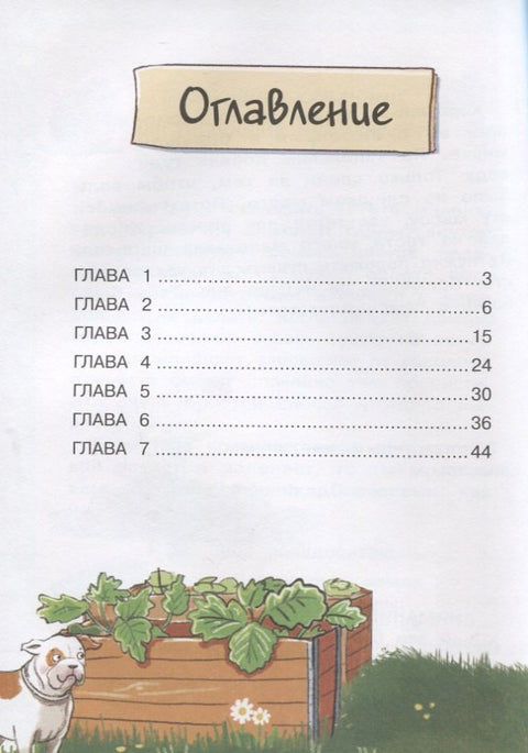 Бюро желаний. Сад под облаками