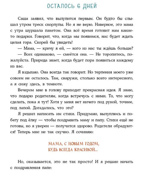 Успеть до Нового года. Сказка