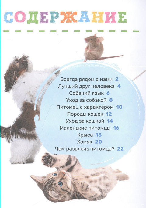 Домашние питомцы