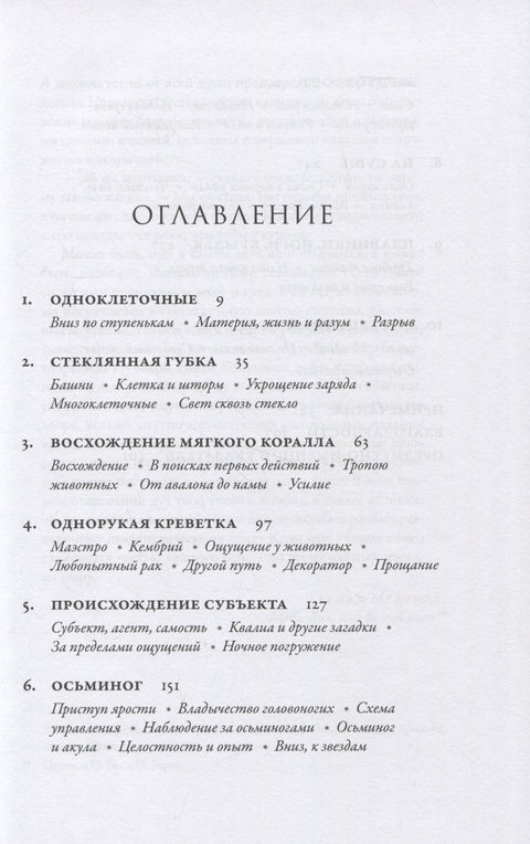Метазоа: Зарождение разума в животном мире