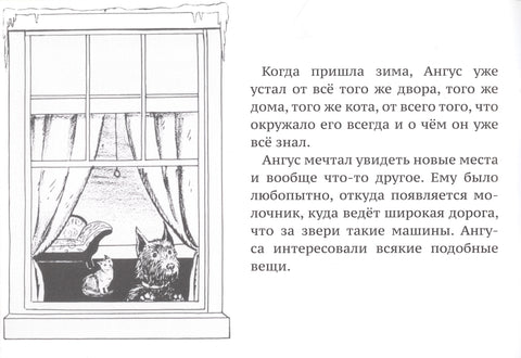 Ангус потерялся