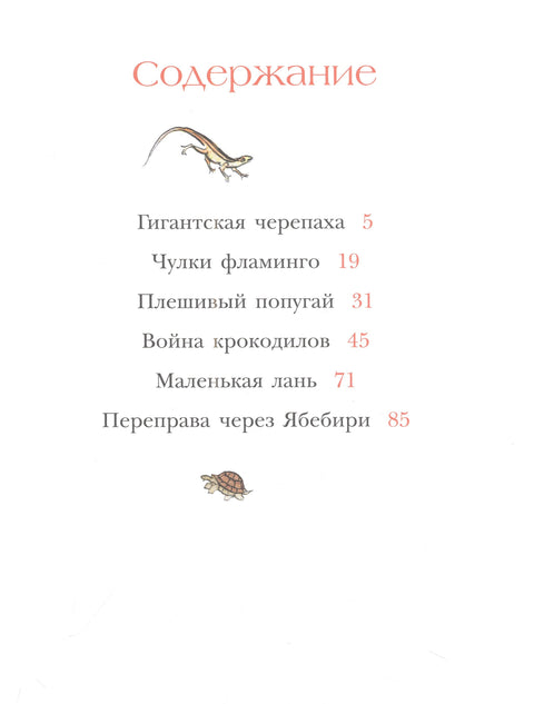 На берегах Ябебири
