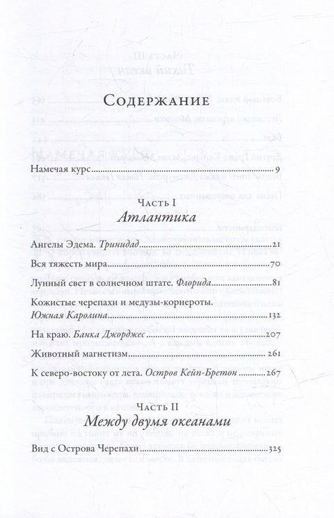 В погоне за черепахой: Путешествие длиной в 200 миллионов лет